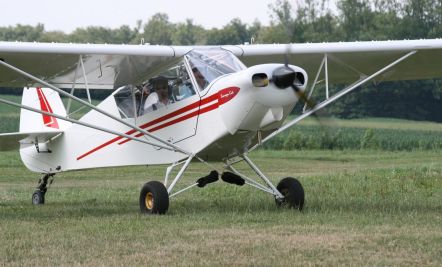 SavageCub
