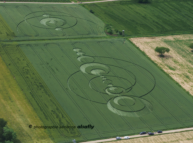 Crop Circle